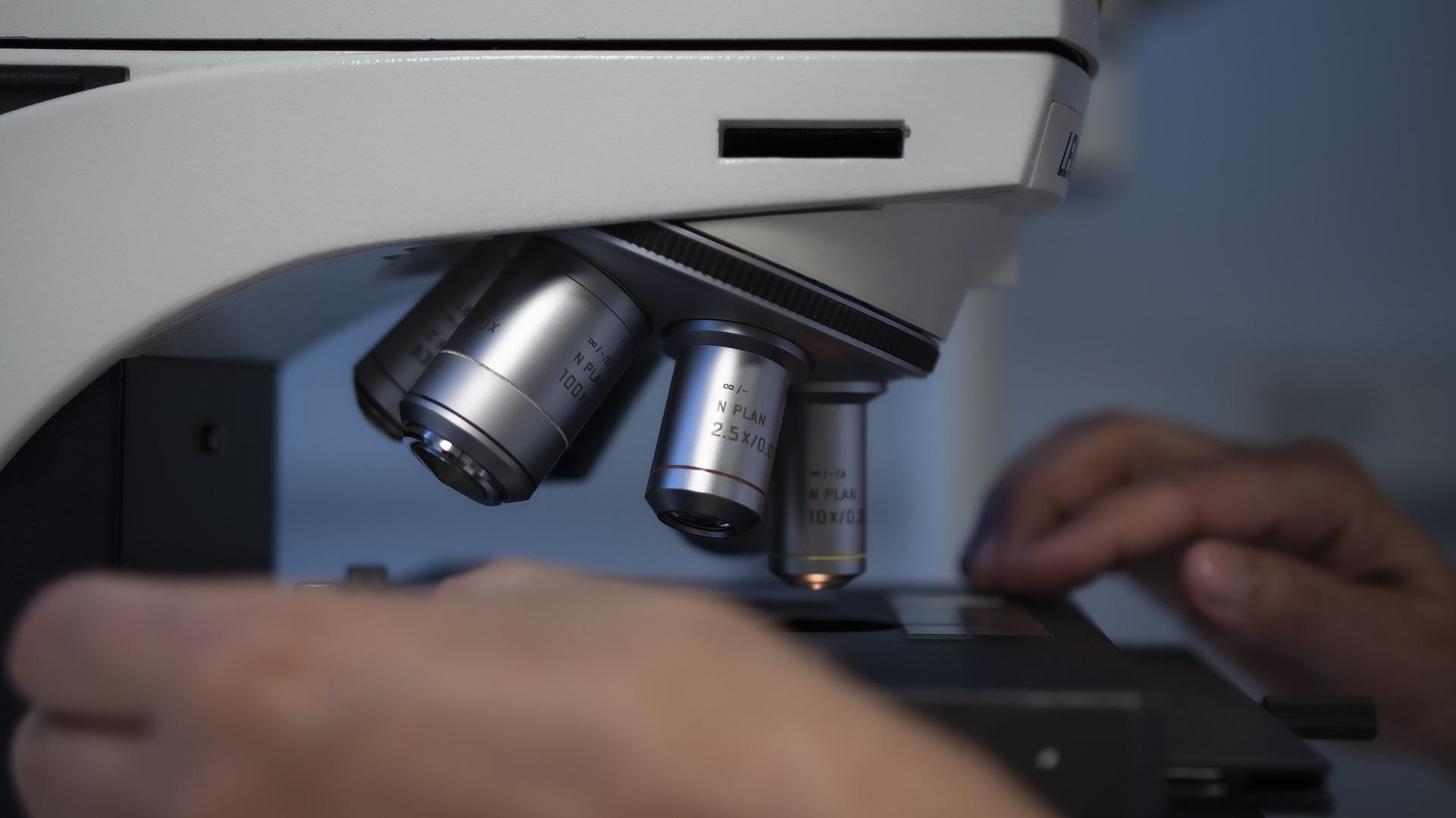 Examining slides under the microscope