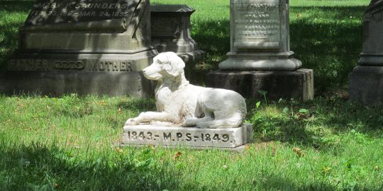 Dog gravestone in a cemetery