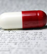 Is Tramadol a Good Painkiller for Dogs?