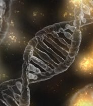 What is the Genetic Technology Bill and what does it mean for genetically engineered animals in the UK?