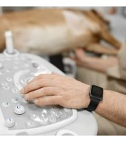 What is cor pulmonale and what does it mean in dogs? 