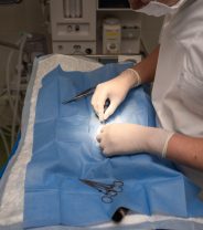 What's the average emergency vet fee?