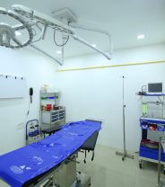 When is a dog too old for an anaesthetic? 