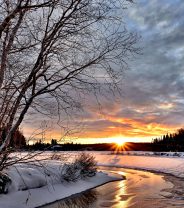 Caring for wildlife in the winter
