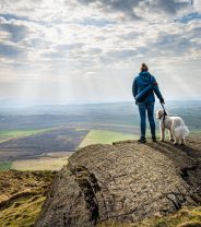 Good News - pets can now travel freely between Northern Ireland and the mainland - no need for a passport!