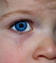 Should you take children when you take a pet to be put to sleep?