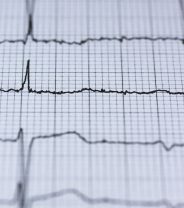 Can dogs get pacemakers?