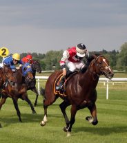 Are the changes in racing whip rules good for horse welfare?