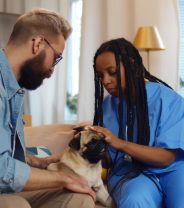 Does the veterinary profession have a diversity problem? 