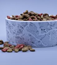 Why would you want to use a feline gastrointestinal diet?