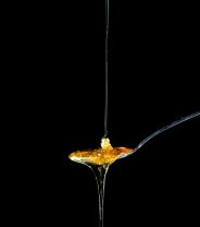 Is honey good for wounds in dogs and cats?