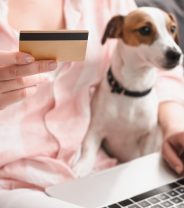 Final CMA report into veterinary pricing: What it means for you and your vet practice 