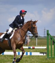 Case Story: Tendon injury in a horse  