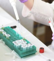 Cancer and blood calcium in pets: what is the link? 