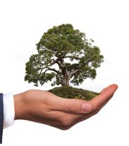 Can veterinary practices actually be environmentally sustainable?