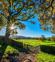 Responsible use of wormers for smallholders and hobby farmers