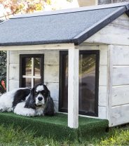 Indoor vs. Outdoor Dog Kennels: Which One is Right for Your Pet?