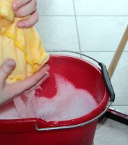 Cleaning up after parvo or enteritis: how to keep other pets safe