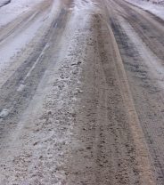 Road Salt Poisoning – An Unexpected Hazard to Pets in Winter 