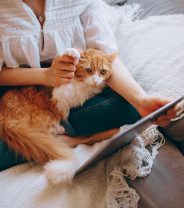 Can cats detect if I’m pregnant? 