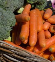Feeding dogs fruit and veg - dos and don'ts 
